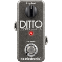 TC Electronic Ditto 