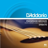 D'Addario EPBB170 45-100