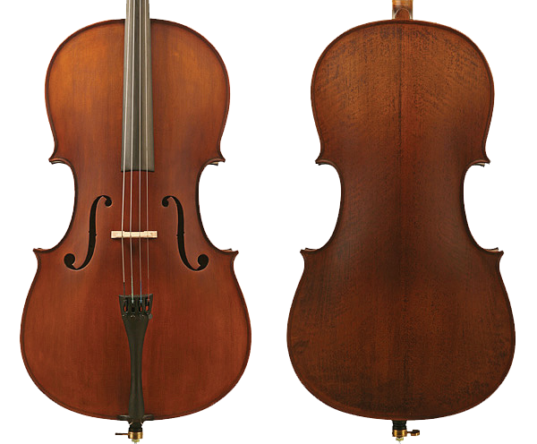Enrico Student Plus II Cello Outfit 3/4 Size