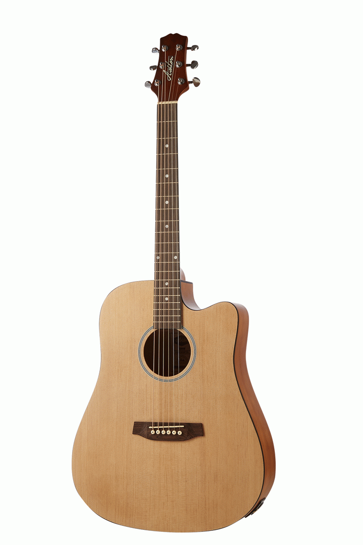 Ashton D20CEQNTM Acoustic Guitar