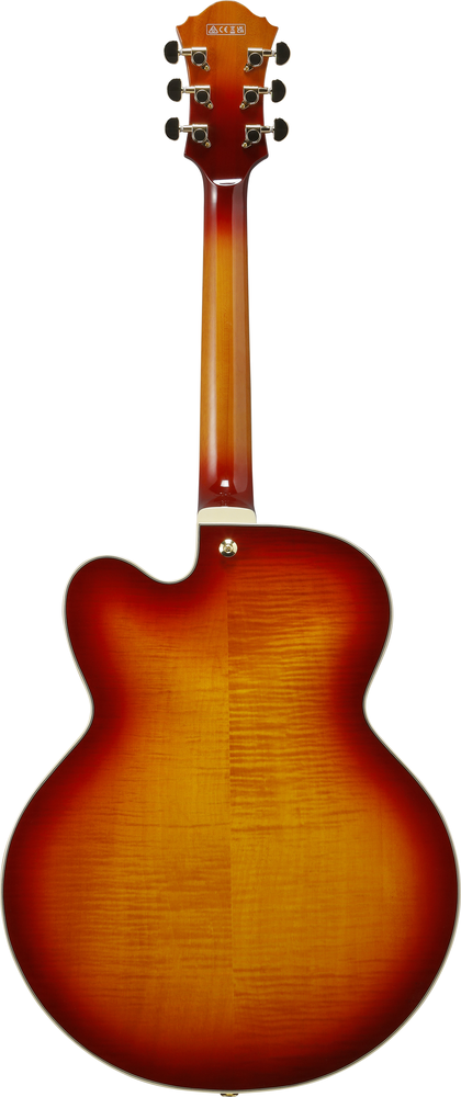 Ibanez AF115 AWB Aged Whiskey Burst