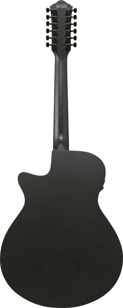 Ibanez AEG1221 BOT Black Out