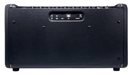 Positive Grid Spark Black