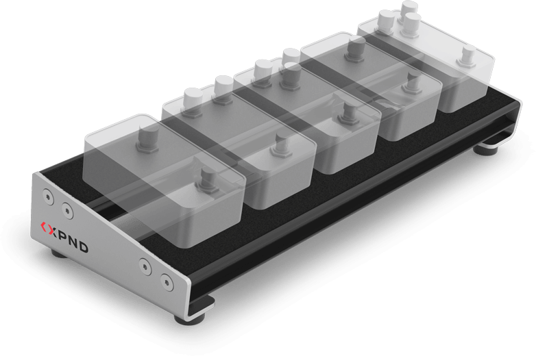 D'Addario XPND Core Single Row Pedalboard
