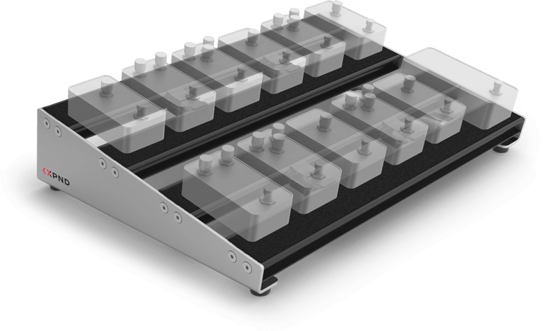 D'Addario XPND Core Double Row Pedalboard