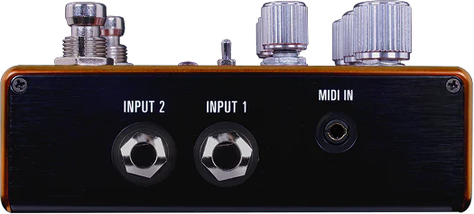 Source Audio Pathway Reverb & Tremolo