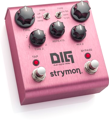 Strymon DIG