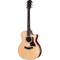 Taylor Next Generation 314ce