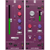 Slate Digital Gates Bundle