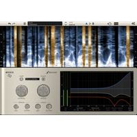 Slate Digital Eiosis e²DEESSER