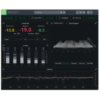 iZotope Insight 2