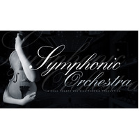 EastWest Sounds Symphonic Orchestra Platinum