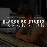 Steven Slate Drums Blackbird Studio Expansion - TRIGGER