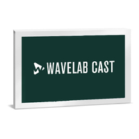 Steinberg WaveLab Cast 2