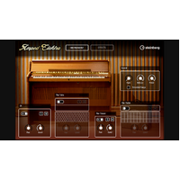 Steinberg Amped Elektra
