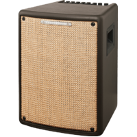 Ibanez T80IIS Acoustic Amplifier 80W