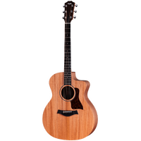 Taylor 24ce
