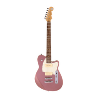 Reverend Charger 290 Mulberry Mist