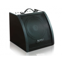 Ashton DA30 Drum Amplifier