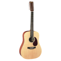 Martin D12X1AE 
