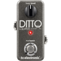 TC Electronic Ditto 