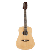 Ashton D20/12NTM 12 String