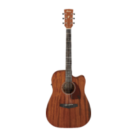 Ibanez PF12MHCE