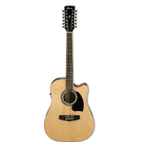 Ibanez PF1512ECE NT