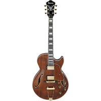 Ibanez AG95MG DA Dark Amber