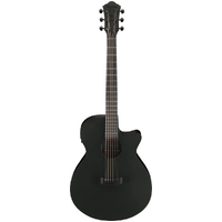 Ibanez AEG621 BOT Black Out