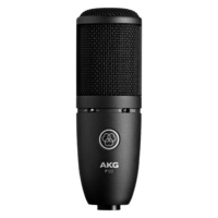 AKG P120