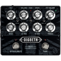 Laney Digbeth DB-PRE