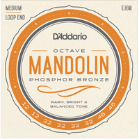 D'Addario EJ80