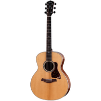 Taylor Gold Label 814e Honduran Rosewood