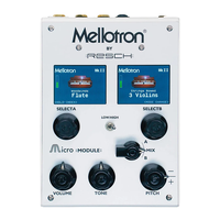 Mellotron Micro Module