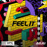 Native Instruments Feel It MPC Edition