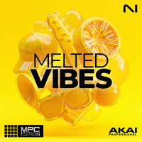 Native Instruments Melted Vibes MPC Edition
