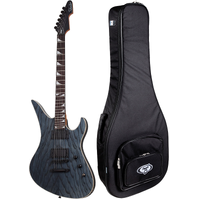 Schecter Avenger Standard CS with BONUS Gig Case