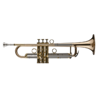 Schagerl Signature JM-1 James Morrison Bb Trumpet