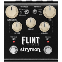 Strymon Flint Gen 2