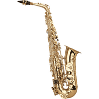 ZO Academy ZOACAS Eb Alto Saxophone