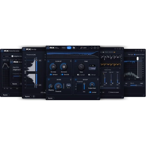 iZotope RX 12 Elements