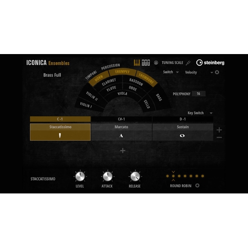 Steinberg Iconica Ensembles