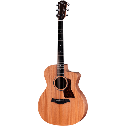 Taylor 24ce