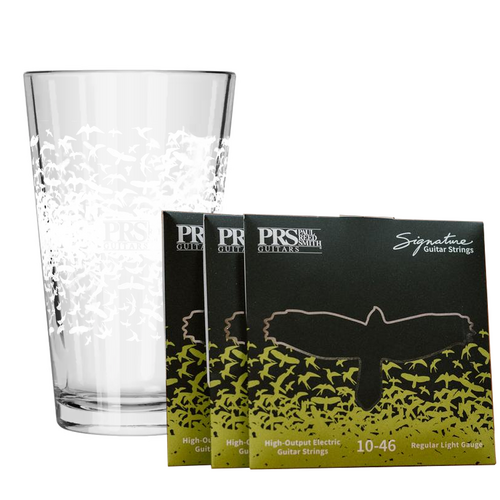 PRS Pint Glass & Strings Gift Pack