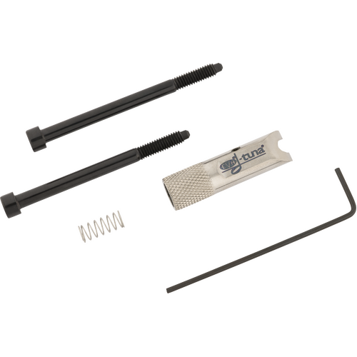 EVH D-TUNA Titanium Silver