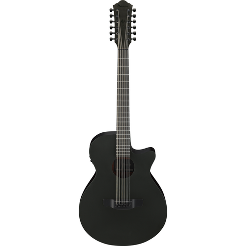 Ibanez AEG1221 BOT Black Out