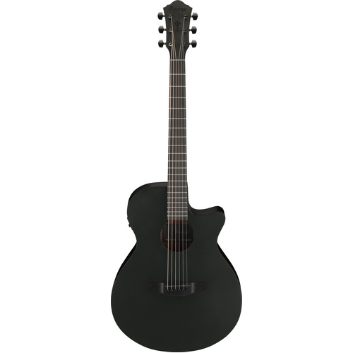 Ibanez AEG621 BOT Black Out