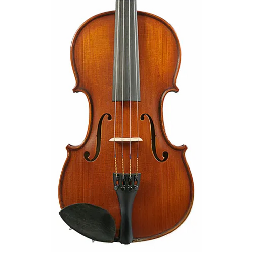 Gliga I Violin Outfit 1pc Back Dark Antique with Opal Gold - 4/4 Size