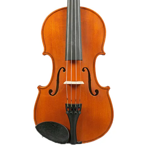 Gliga I Violin Outfit Antique Finish with Opal Gold - 4/4 Size